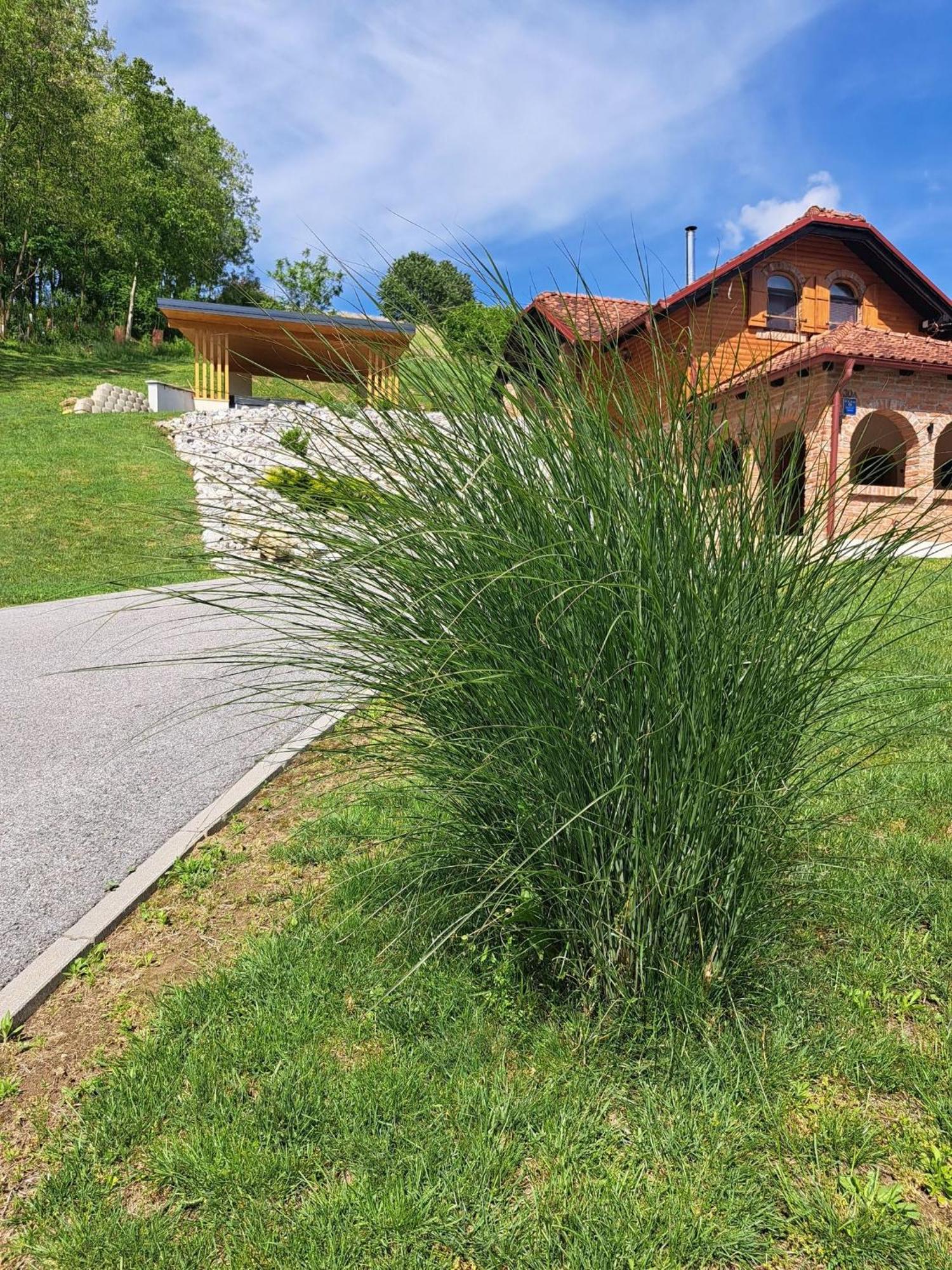 Villa Magnolia Sveti Martin Na Muri Exterior foto